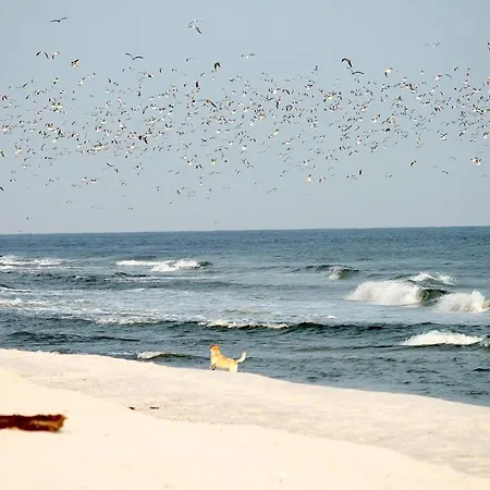 Apartamento White Pearl 2.05 *