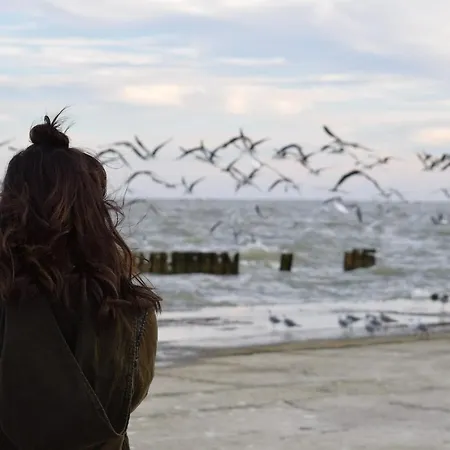 Apartamento White Pearl 2.05 *